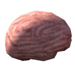 Item Icon - Human Brain.png