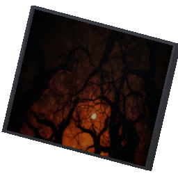 Item Icon - Haunted Woods Painting.png