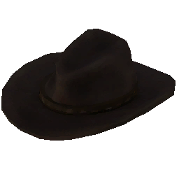 Item Icon - Cowboy Hat.png