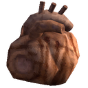 Cooked Exor Heart